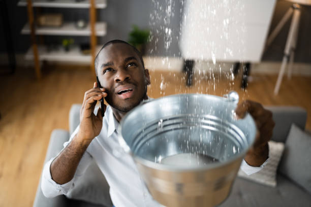 Best Professional water damage repair  in Utica, IN