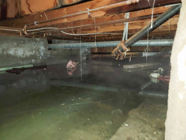 Best Emergency water damage restoration  in Utica, IN