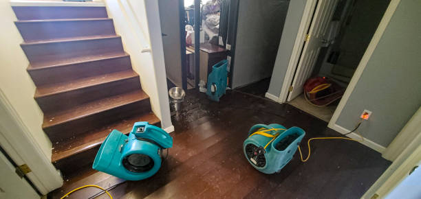 Best Commercial water damage restoration  in Utica, IN