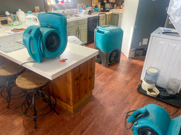 Best Sewage cleanup and water damage restoration  in Utica, IN