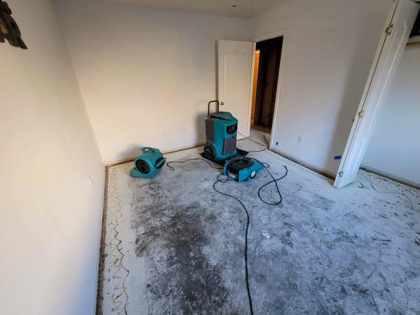 Best Professional water damage repair  in Utica, IN
