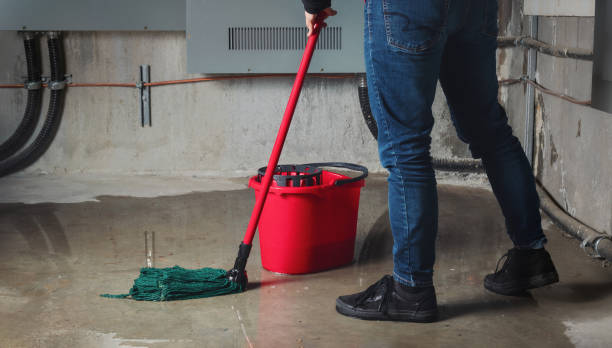 Best 24/7 water damage repair  in Utica, IN