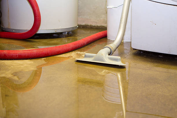 Best Flooded house restoration  in Utica, IN