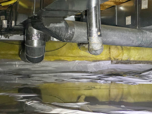 Best Ceiling water damage repair  in Utica, IN